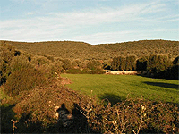 Immagine foto veduta del sito dalla pianura
