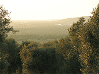 Immagine foto panorama paesaggio